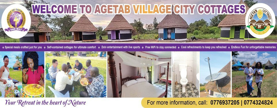 Panoramic advertisement for Agetab Village City Cottages. Images include traditional thatched cottages, a dining group, a bedroom, a modern bathroom, scenic views, and outdoor activities. Text offers contact info and highlights accommodations and activities.