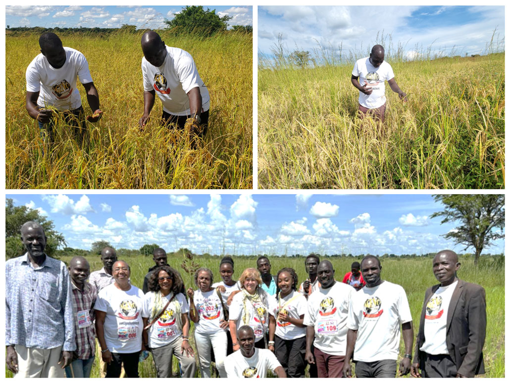 Three images showing people in a field. The top two images depict a man inspecting plants. The bottom image shows a group of people standing together, smiling. They are all wearing white shirts printed with the same design.